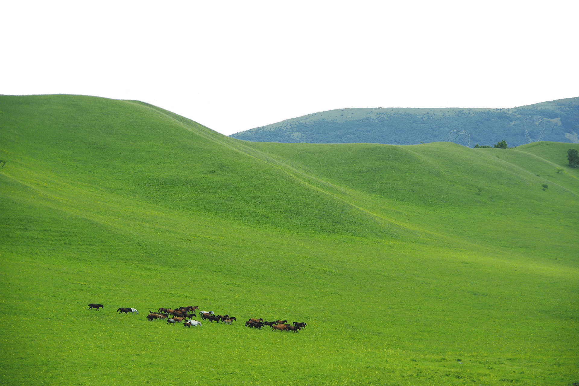 Northern China